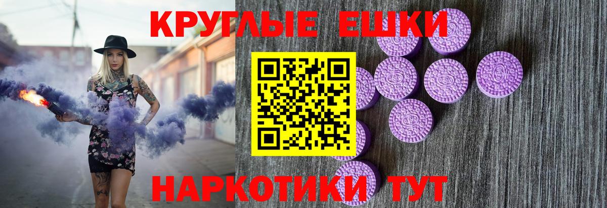 Ecstasy бентли Гай