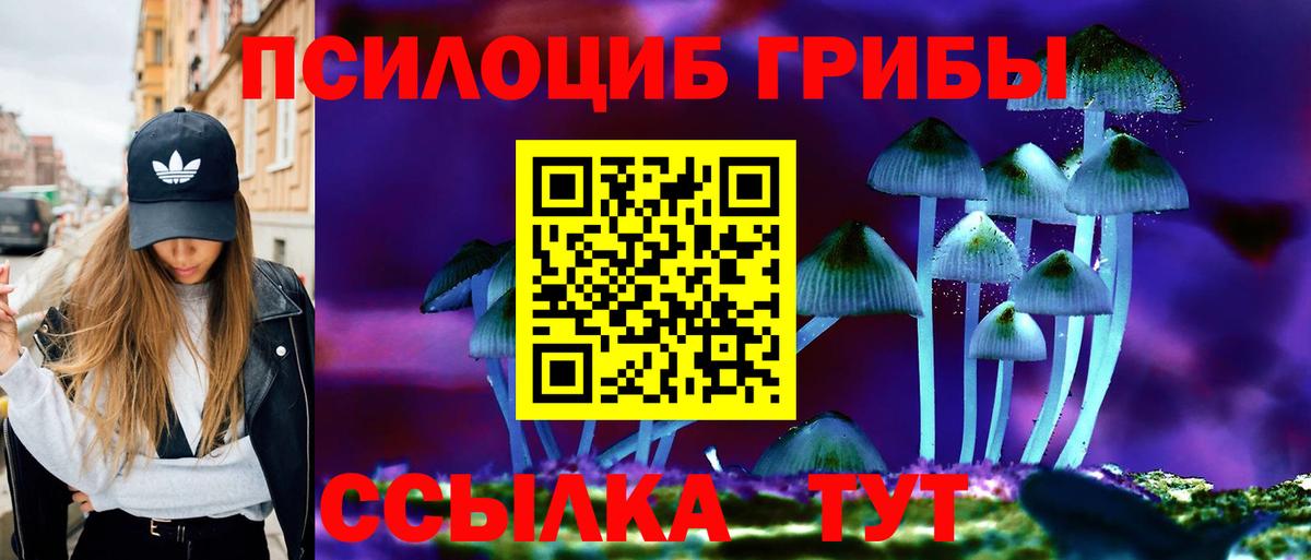 Гай  Галлюциногенные грибы ЛСД  Вход с VPN 