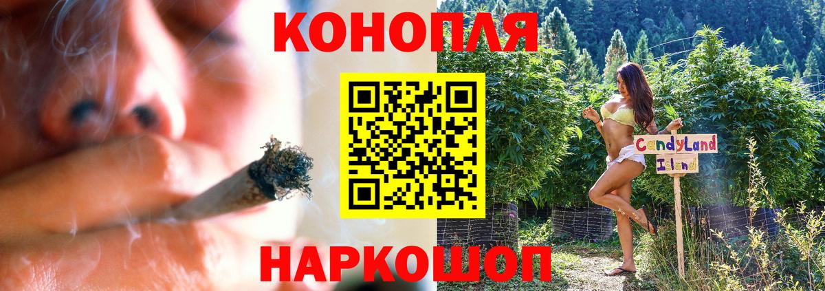МАРИХУАНА SATIVA & INDICA Гай